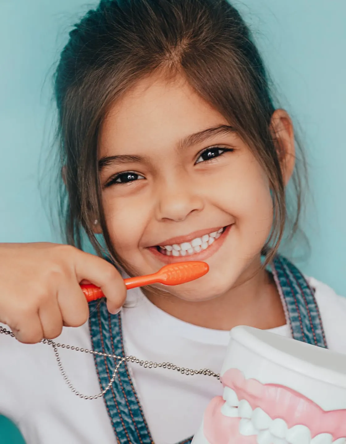 A smiling girl brushing her teeth and holding a model of teeth
